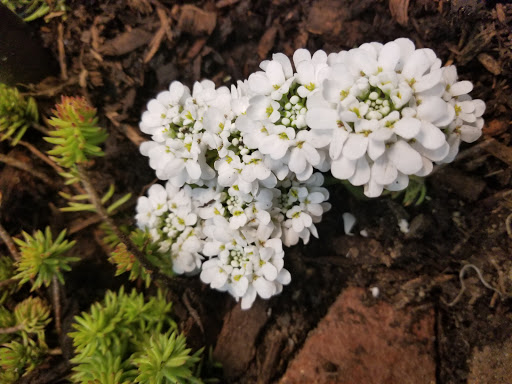 Conference Center «Fair & Expo Center», reviews and photos, 2695 E Henrietta Rd, Henrietta, NY 14467, USA