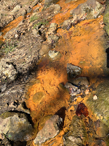 Park «Randol Mill Park», reviews and photos, 1901 W Randol Mill Rd, Arlington, TX 76012, USA