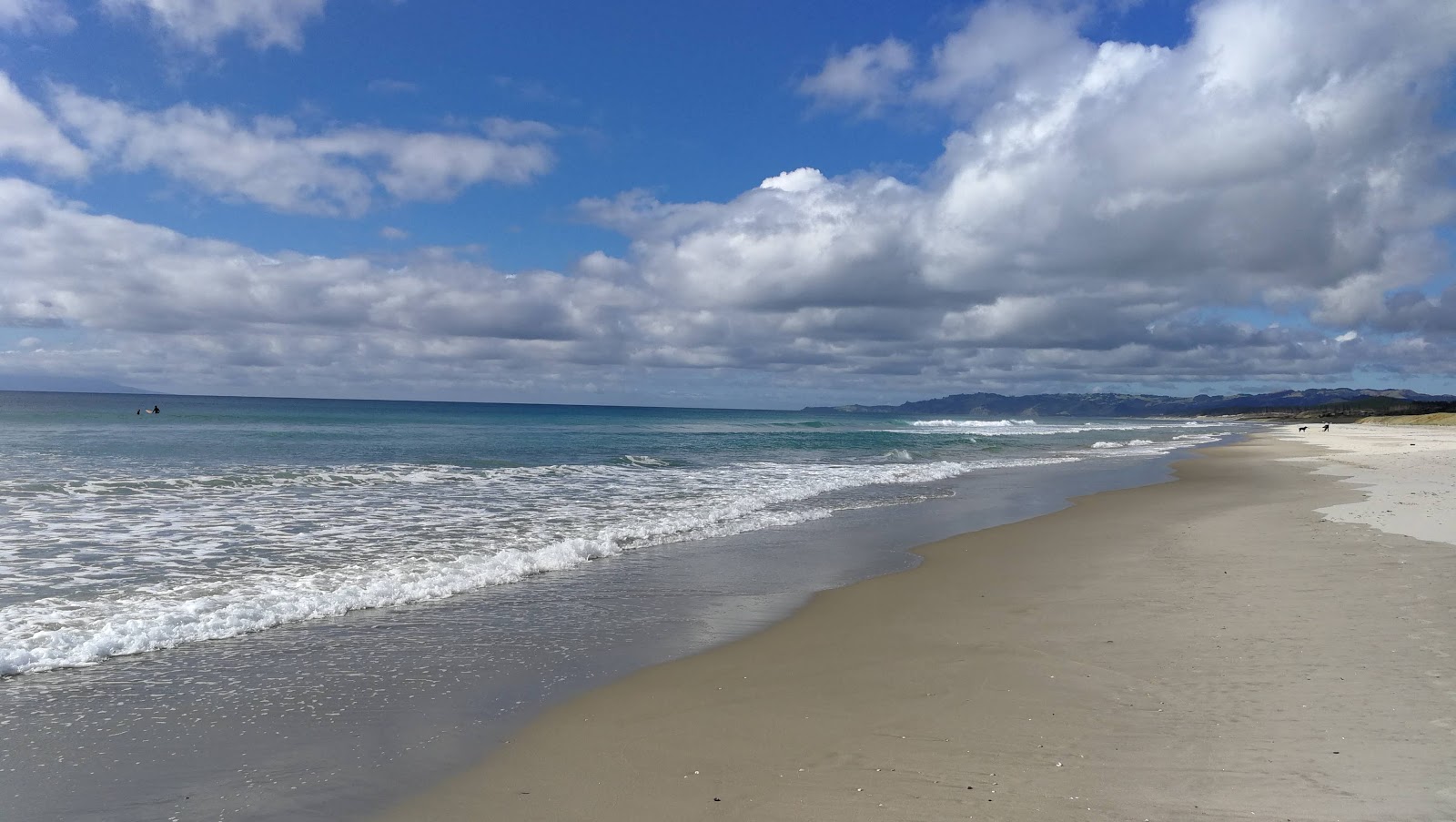 Foto av Forestry Beach med lång rak strand