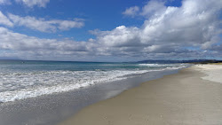 Zdjęcie Forestry Beach z proste i długie