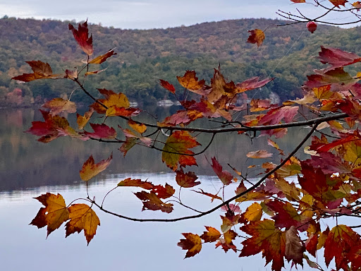 Park «Sterling Forest State Park», reviews and photos, Old Forge Rd, Tuxedo Park, NY 10987, USA