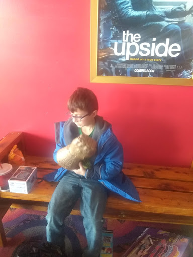 Movie Theater «Regal Cinemas Seymour 8», reviews and photos, 357 Tanger Blvd, Seymour, IN 47274, USA