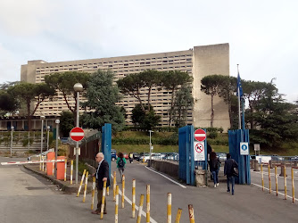 Azienda Ospedaliera Universitaria Federico II