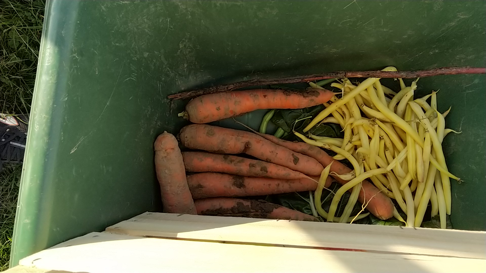 Photo n° 7 de l'avis de 3D.A fait le 18/10/2020 à 14:14