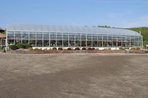 Waterman's Greenhouse image