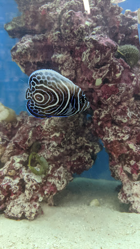 Pet Supply Store «Pet Supplies Plus», reviews and photos, 7041 Barker Cypress Rd, Cypress, TX 77433, USA