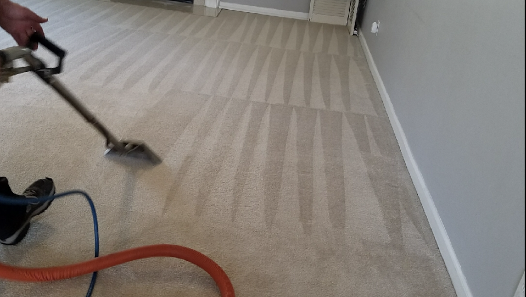 E&M Carpet Cleaning