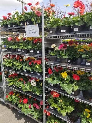 Hardware Store «McLendon Hardware», reviews and photos, 10210 16th Ave SW, Seattle, WA 98146, USA