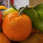 Photo n°2 de l'avis de MUVA_.o fait le 09/12/2022 à 07:21 sur le  Ballarò Hotel à Palermo