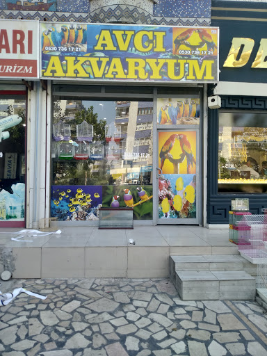 Evcil Hayvan Malzemeleri Mağazası Diyarbakır