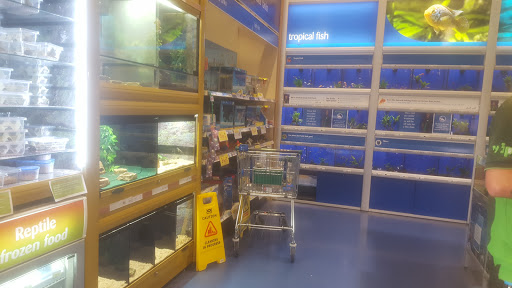 Reptile shops in Southampton