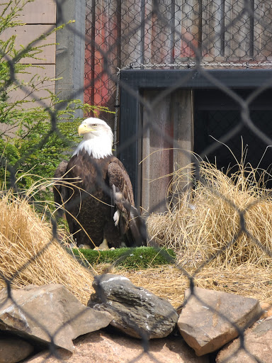 Zoo «Turtle Back Zoo», reviews and photos, 560 Northfield Ave, West Orange, NJ 07052, USA