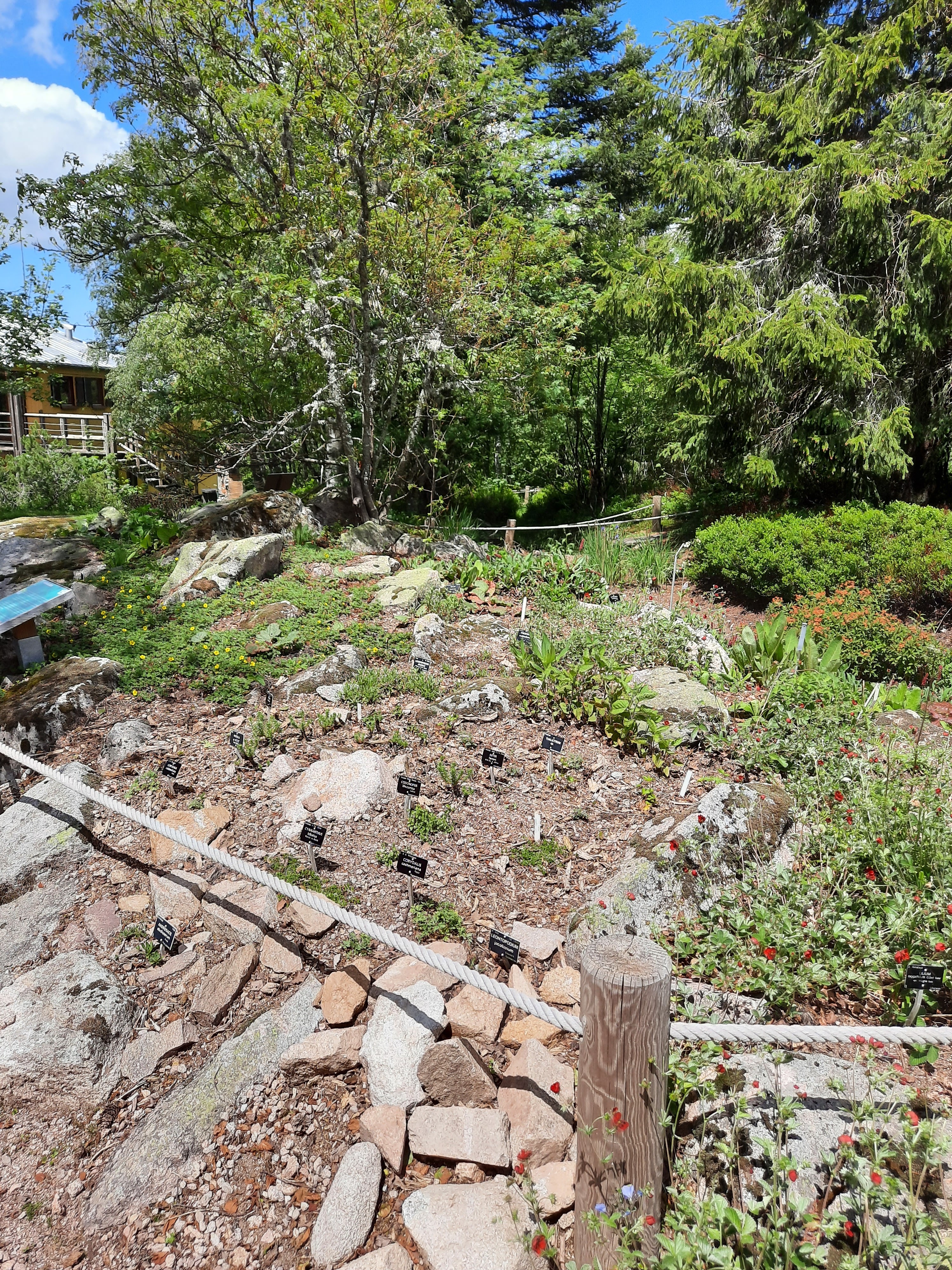 Photo n° 10 de l'avis de Victoria.e fait le 22/06/2020 à 21:37