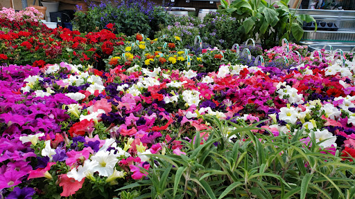 Home Improvement Store «The Home Depot», reviews and photos, 680 Kifer Rd, Sunnyvale, CA 94086, USA