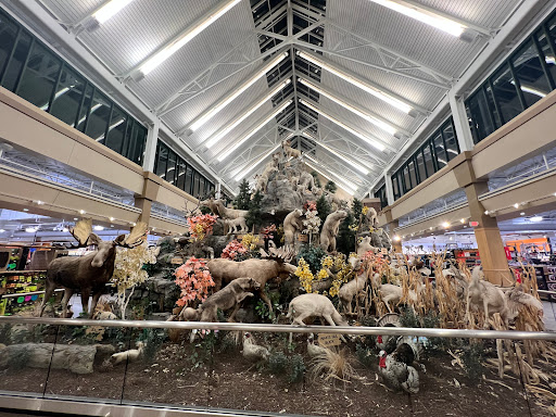 Sporting Goods Store «SCHEELS», reviews and photos, 6503 W 135th St, Overland Park, KS 66223, USA