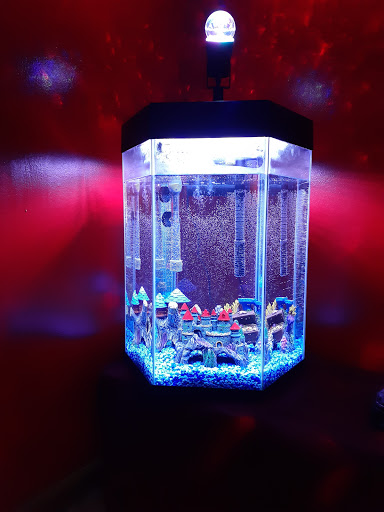 Pet Supply Store «PetSmart», reviews and photos, 157 Levittown Pkwy B, Levittown, PA 19055, USA