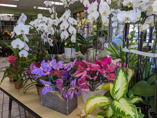 Florist «Casa De Flores», reviews and photos, 15600 Ventura Blvd, Encino, CA 91436, USA