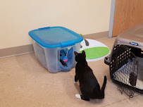 Beaver Brook Animal Hospital - Photo 5 - Car repair in Wethersfield, CT, Hartford