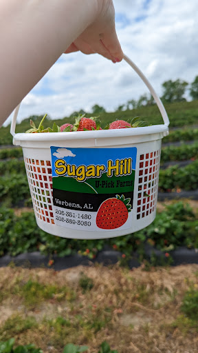 Tourist Attraction «Sugar Hill U-pick Farms», reviews and photos, 3595 Co Rd 59, Verbena, AL 36091, USA