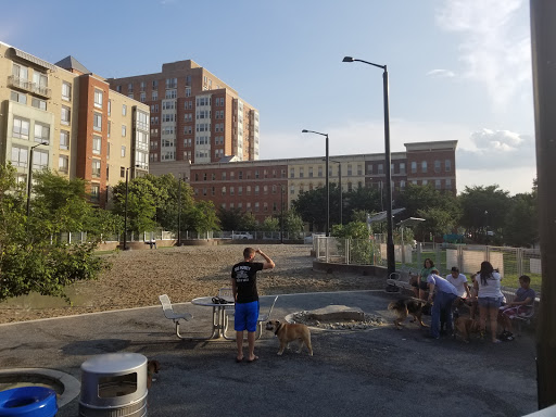 Dog Park «Clarendon Dog Park», reviews and photos, 1299 N Herndon St, Arlington, VA 22201, USA