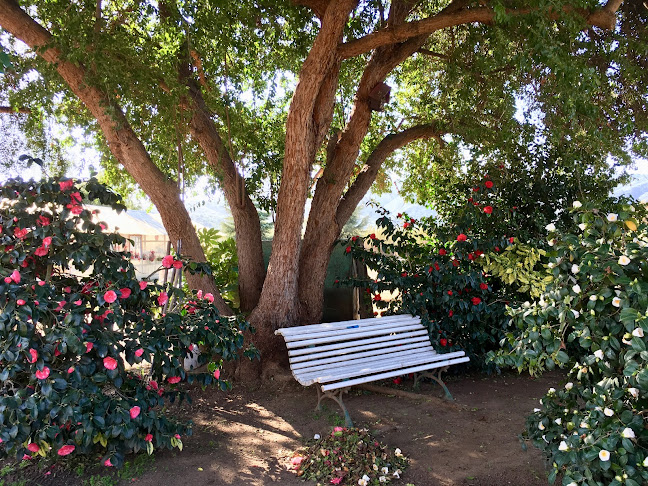 Opiniones de Jardín Suizo en Casablanca - Centro de jardinería