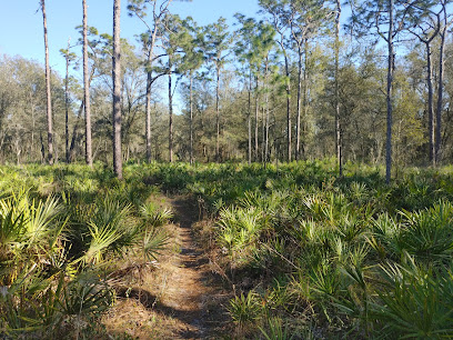 Upper Hillsborough WMA Access Point and Parking