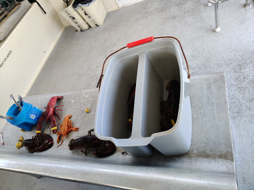 Sightseeing Tour Agency «Lulu Lobster Boat Ride», reviews and photos, 55 West St, Bar Harbor, ME 04609, USA