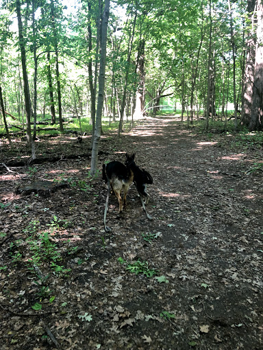 Nature Preserve «Messenger Woods Nature Preserve», reviews and photos, 13800 W Bruce Rd, Homer Glen, IL 60491, USA