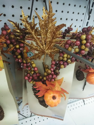 Discount Store «99 Cents Only Stores», reviews and photos, 20165 N 67th Ave, Glendale, AZ 85308, USA