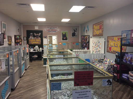 Las Vegas Puppy Store