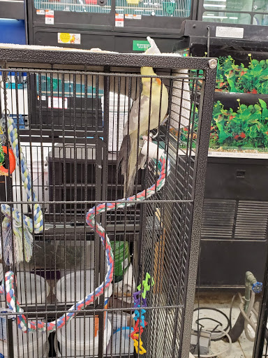 Pet Supply Store «Pet Supplies Plus», reviews and photos, 2155 Delaware Ave, Buffalo, NY 14216, USA