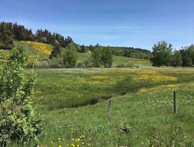 Miel du Mas de l'Hospital à Cellier-du-Luc