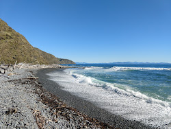 Foto av Makara Beach med hög nivå av renlighet