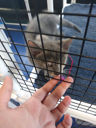 Pet Supply Store «Pet Supplies Plus», reviews and photos, 1094 N Wisner St, Jackson, MI 49202, USA