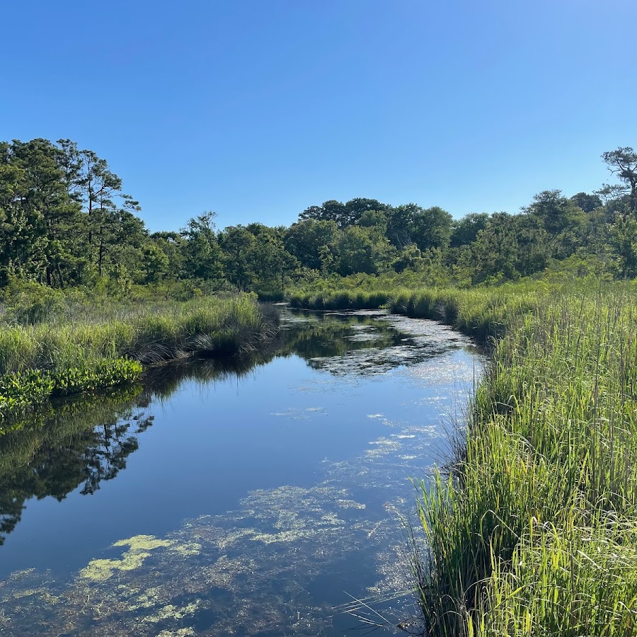 Currituck Banks Reserve