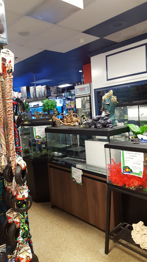 Pet Store «All Pets Club», reviews and photos, 405 Queen St, Southington, CT 06489, USA