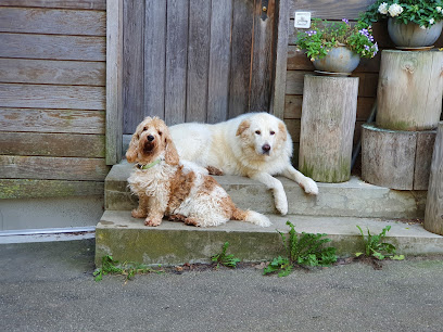 Tierpension Krummenacker