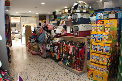 Estética Canina Castellón - Castellón de la Plana