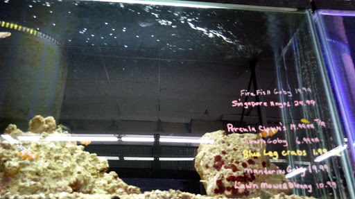 Pet Store «Teske Pet & Garden», reviews and photos, 2423 16th St, Moline, IL 61265, USA