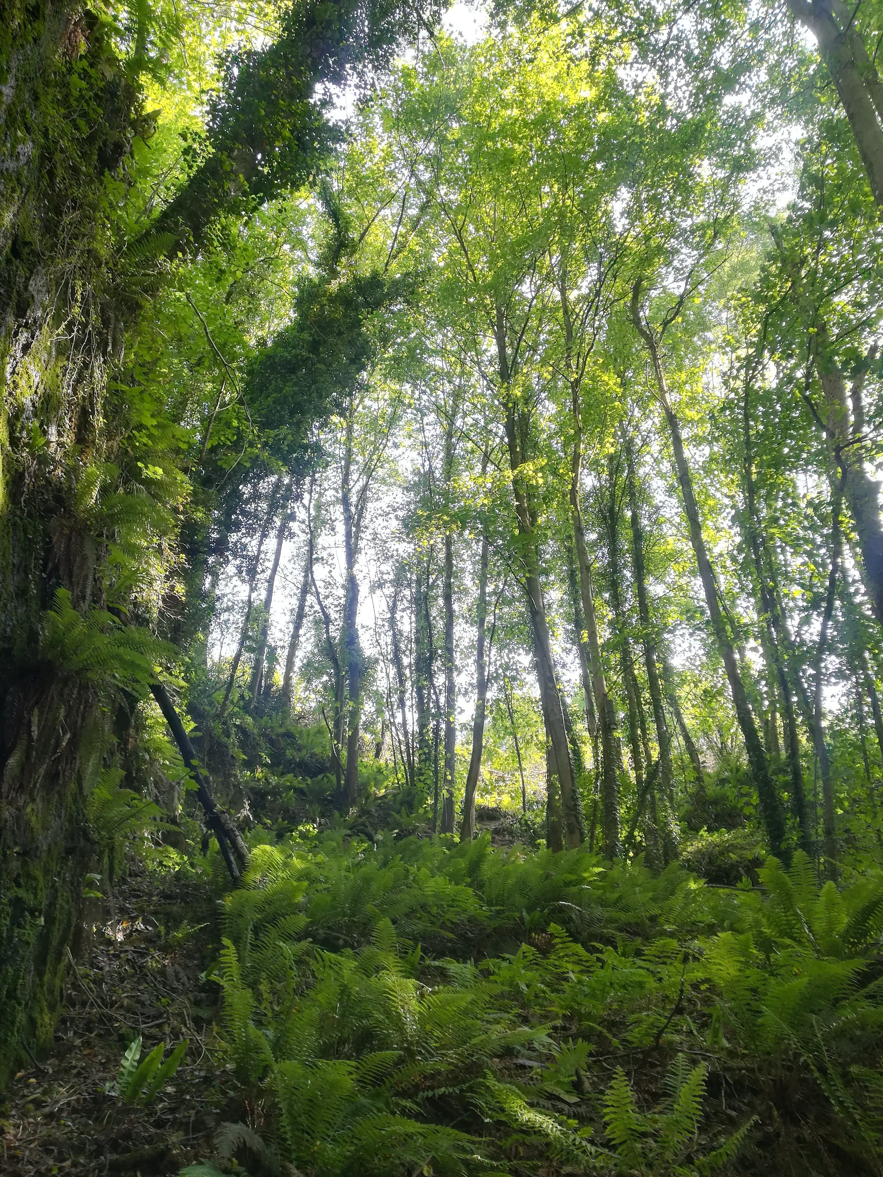 Photo n° 18 de l'avis de missbigsmile. fait le 03/07/2018 à 05:14