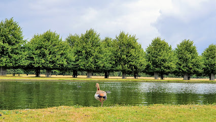 Hampton Court Park (Home Park)