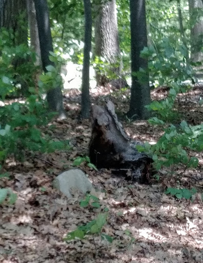 Memorial Park «Governor John Notte Memorial Park», reviews and photos, 1801 Douglas Ave, North Providence, RI 02904, USA