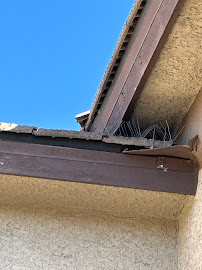 SOS Pigeon Control of Las Vegas - Photo 5 - Car repair in Las Vegas, NV, Enterprise