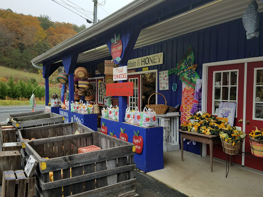 Gift Shop «Beech Spring Gift Shop», reviews and photos, 11600 Lee Hwy, Sperryville, VA 22740, USA