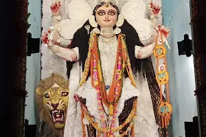 Barasat Banerjee Para Jagadhatri Puja Committee image