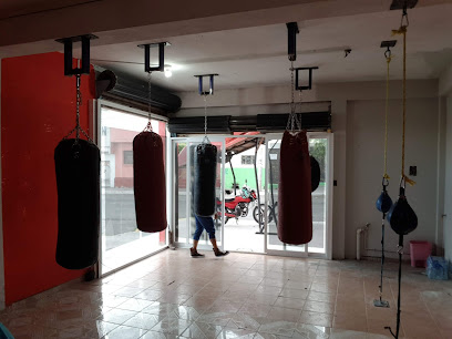 Gym Spartacus - C. 11, Lomas de Casa Blanca, 76080 Santiago de Querétaro, Qro., Mexico