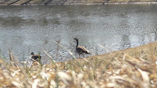 Movie Theater «Emagine Canton», reviews and photos, 39535 Ford Rd, Canton, MI 48187, USA