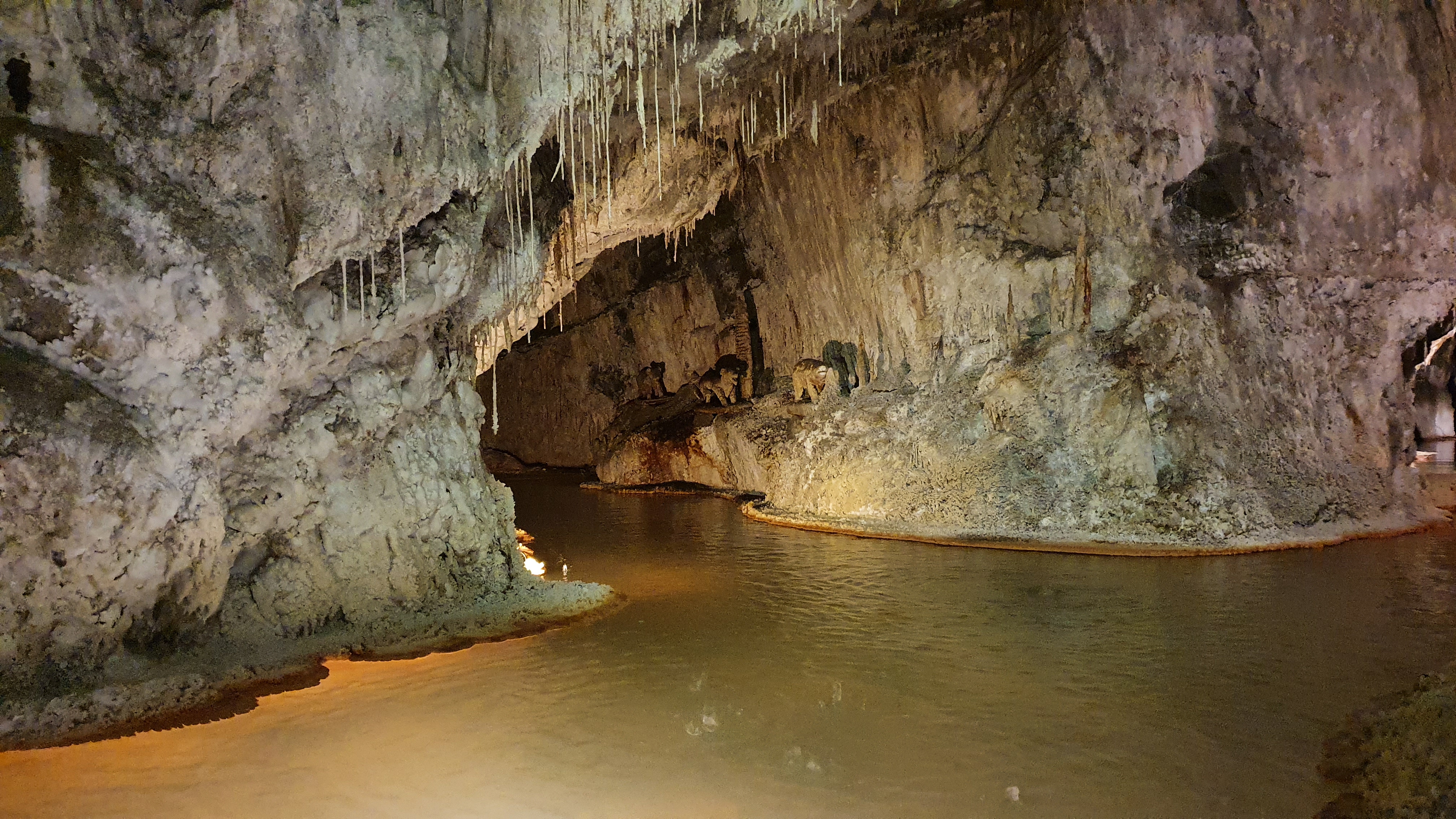 Photo n° 4 de l'avis de Franck.l fait le 29/02/2020 à 21:48
