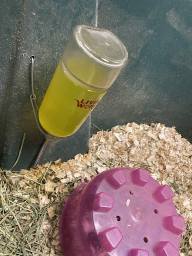 Pet Store «Pet Station Reno», reviews and photos, 5065 S McCarran Blvd, Reno, NV 89502, USA