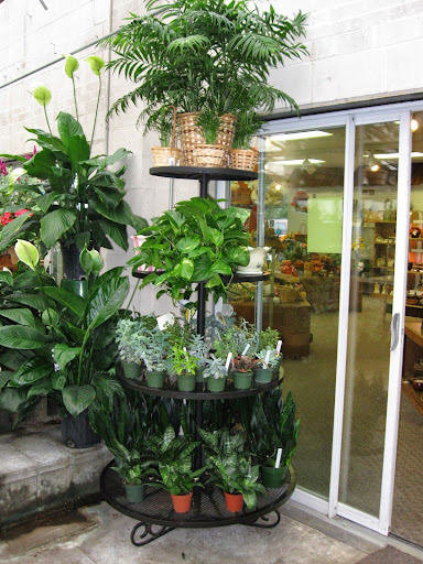 Florist «Dick Adgate Florist», reviews and photos, 2300 Elm Rd NE, Warren, OH 44483, USA